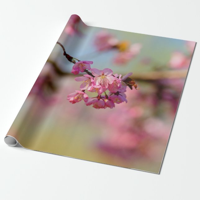 Papier Cadeau Couleurs Magiques Du Jardin Sakura (Déroulé)