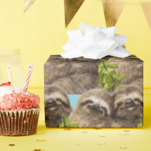Papier Cadeau Couple de paresseux