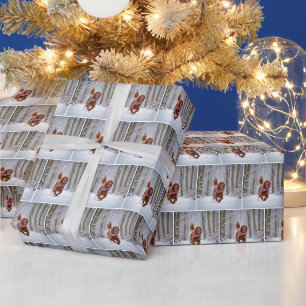 Papier Cadeau Coussin Irlandais Courant Dans La Neige