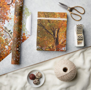 Papier Cadeau Création de carte d'arbre de érable de saison auto