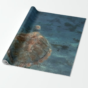 Papier Cadeau Créatures de la mer cool