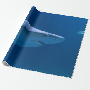 Papier Cadeau Créatures océaniques