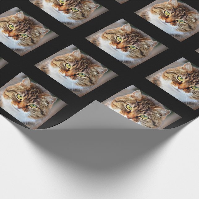 Papier Cadeau Créez votre propre photo personnalisée de chat (Coin)