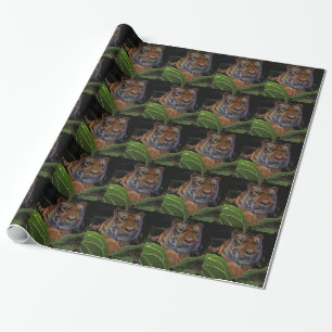 Papier Cadeau Crouching des tigres dans la jungle