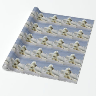 Papier Cadeau Cube d'ours polaire et glace arctique