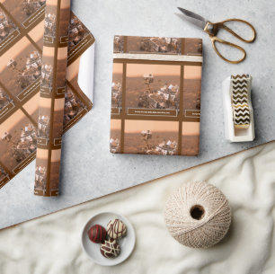 Papier Cadeau Curiosity Rover Mars Dusty Selfie au Mont Sharp