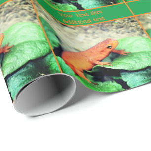 Papier Cadeau Cute Orange Salamander Personnalisé
