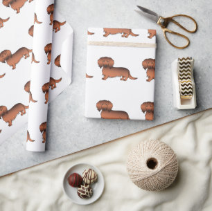 Papier Cadeau Dachshund Cartoon Motif Poil Long Fauve Rouge