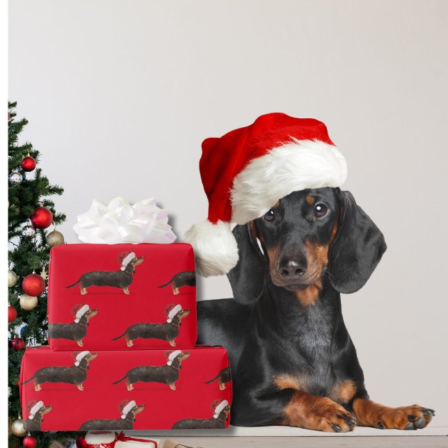 Papier Cadeau Dachshund Chien Noël Red Santa Hat (Créateur téléchargé)