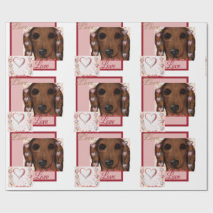 Papier Cadeau Dachshund Rouge