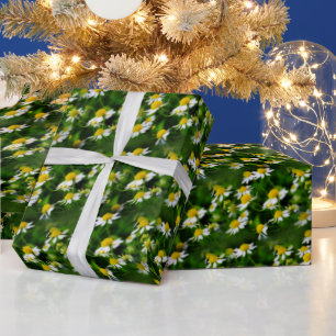 Papier Cadeau Dans un champ de rêve de Chamomile