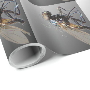 Papier Cadeau Dead Fly