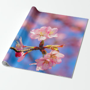 Papier Cadeau Délicat Sakura Beauté contre le ciel bleu