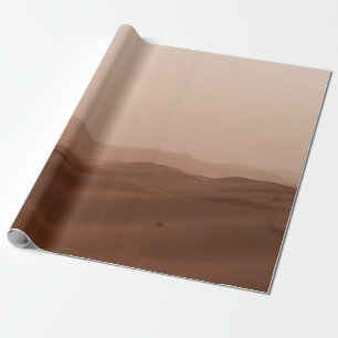PAPIER CADEAU DÉSERT SOUS LE CIEL BLANC PENDANT LA JOURNÉE