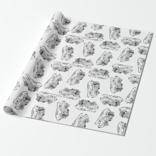 Papier Cadeau Dinosaur Skuls Motif COULEUR ARRIÈRE - PLAN PERSO