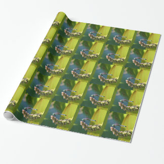 Papier Cadeau Dragonfly aux yeux turquoises