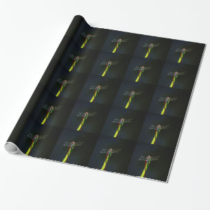 Papier Cadeau Dragonfly bleu et noir sur gazon vert et rouge