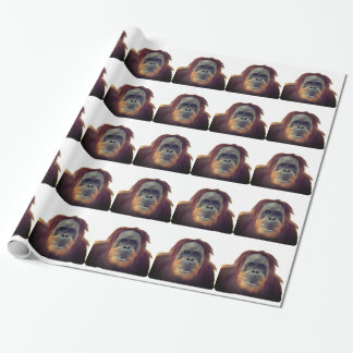 Papier Cadeau Drôle Singe à la chouette de Gorille