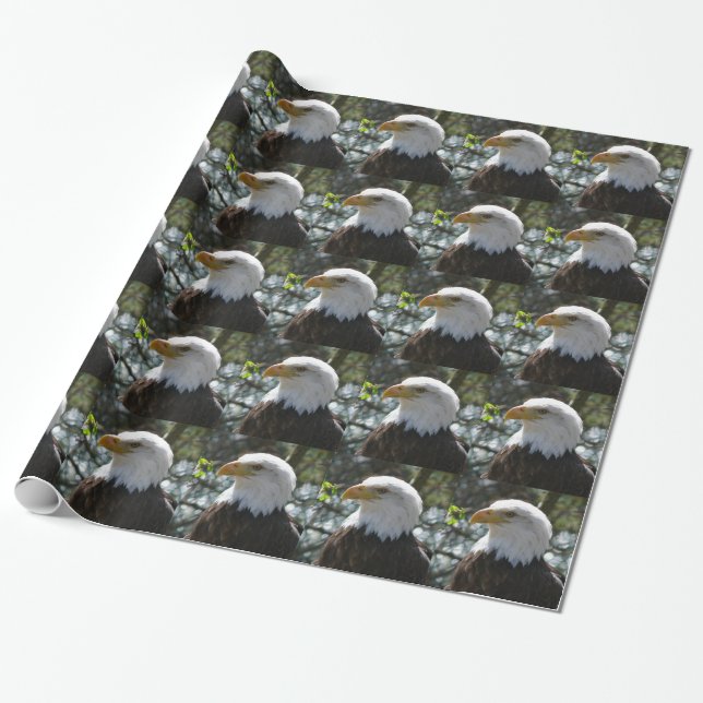 Papier Cadeau Eagle (Déroulé)
