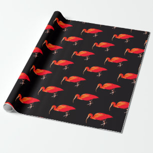 Papier Cadeau Écarlate IBIS