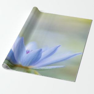 Papier Cadeau Elégant Lotus Bleu