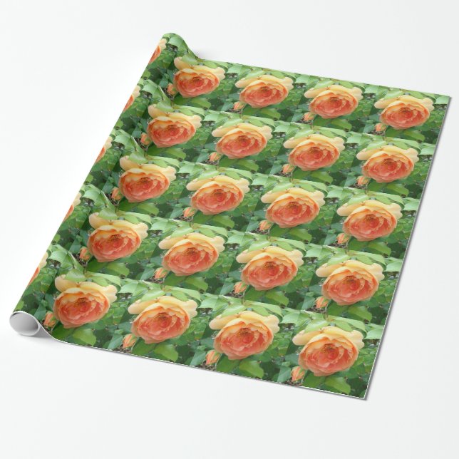 Papier Cadeau Élégant Rose orange (Déroulé)