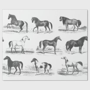 Papier Cadeau Élégant Vintage Black White Toile Cheval races