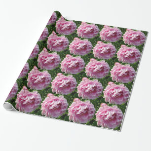 Papier Cadeau Élégantes fleurs romanes roses fleurs roses Pivoin