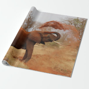 Papier Cadeau Éléphant