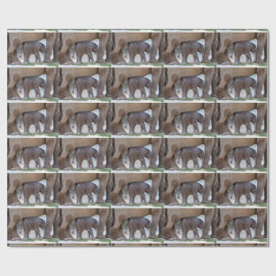 Papier Cadeau Eléphant bébé doux