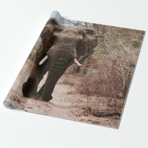 PAPIER CADEAU ÉLÉPHANT NOIR MARCHANT SUR SABLE BROWN