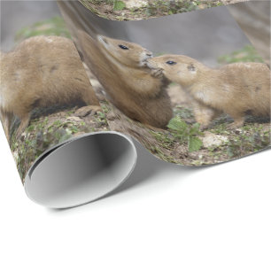 Papier Cadeau Embrasse-moi papier à embrayage rapide