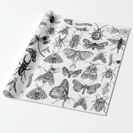 Papier Cadeau Entomologie Papier Bugs Insectes Enveloppement Cad
