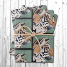 Papier cadeau enveloppant à l'aquarelle de tigre