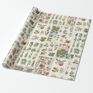 Papier Cadeau Enveloppe botanique Vintage pour découpage ou enve