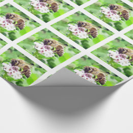 Papier Cadeau Enveloppe cadeau - Abeille de miel sur le trèfle