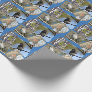 Papier Cadeau Enveloppe cadeau - Oiseaux sauvages