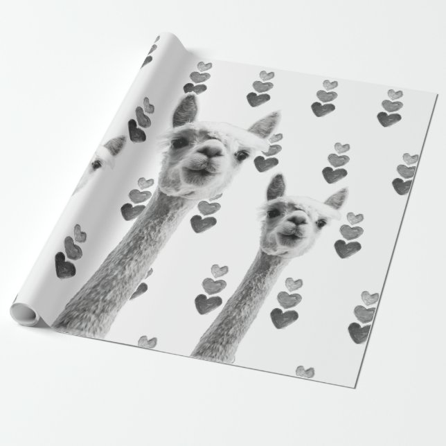 Papier Cadeau Enveloppe de cadeau de coeurs de lama (Déroulé)