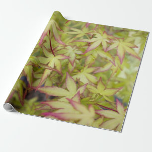 Papier Cadeau Enveloppe de cadeau de feuille d'érable japonais