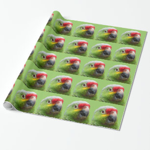 Papier Cadeau Enveloppe de cadeau de perroquet