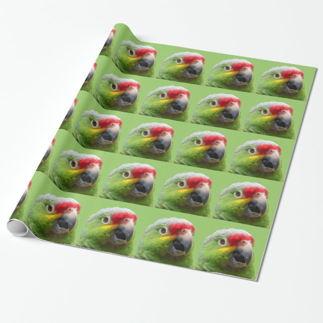 Papier Cadeau Enveloppe de cadeau de perroquet (Déroulé)