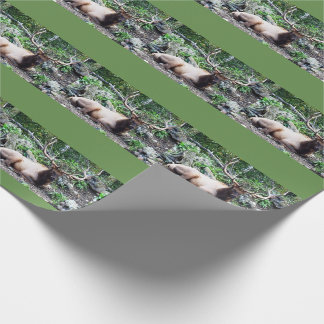 Papier Cadeau Enveloppe d'élans