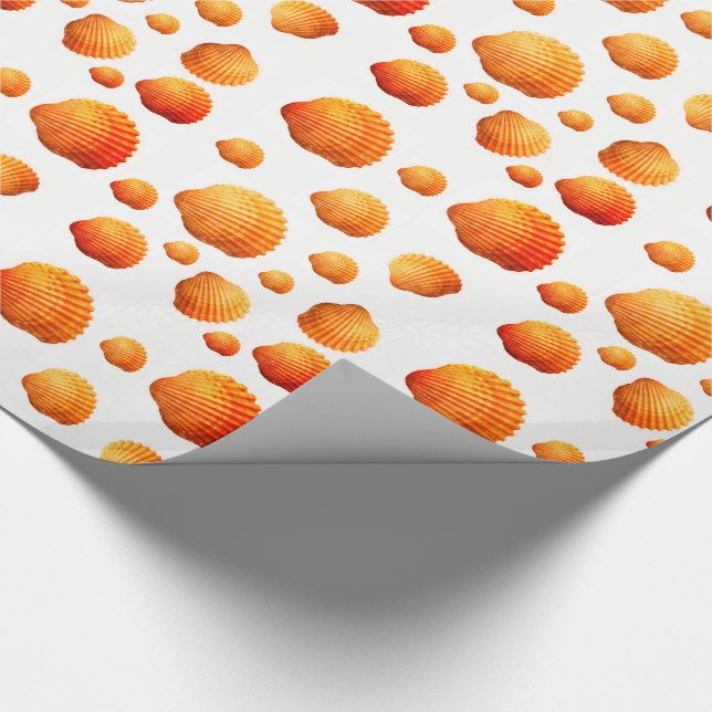 Papier Cadeau Envelopper les coquillages en papier (Coin)