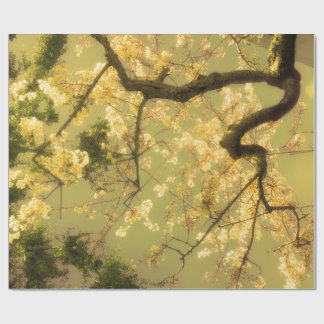 Papier Cadeau Envelopper Papier Rouleau Cerisier Fleur Branches 