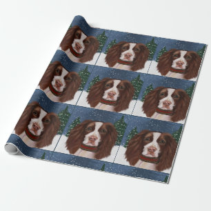PAPIER CADEAU ESPAGNOL DE PLONGÉE ANGLAISE