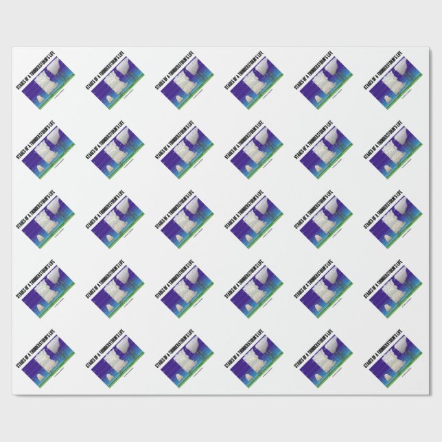 Papier Cadeau Étapes de la vie d'un orage (météorologie) (Plat)