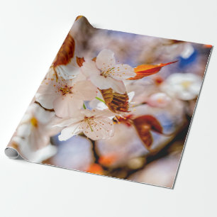 Papier Cadeau Extraordinaire Bunch De Fleurs Sakura Au Printemps