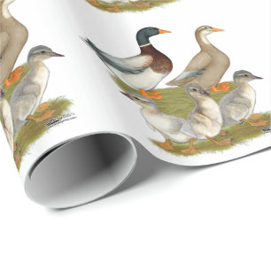 Papier Cadeau Famille de canards de Saxe