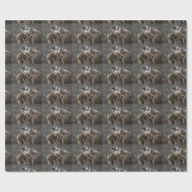 Papier Cadeau Faucon (Plat)