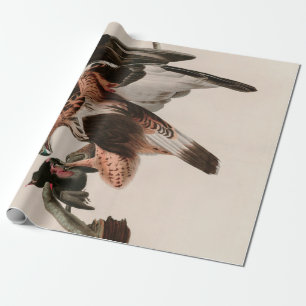 Papier Cadeau Faucon à pattes rousses d'Amérique Audubon Impri